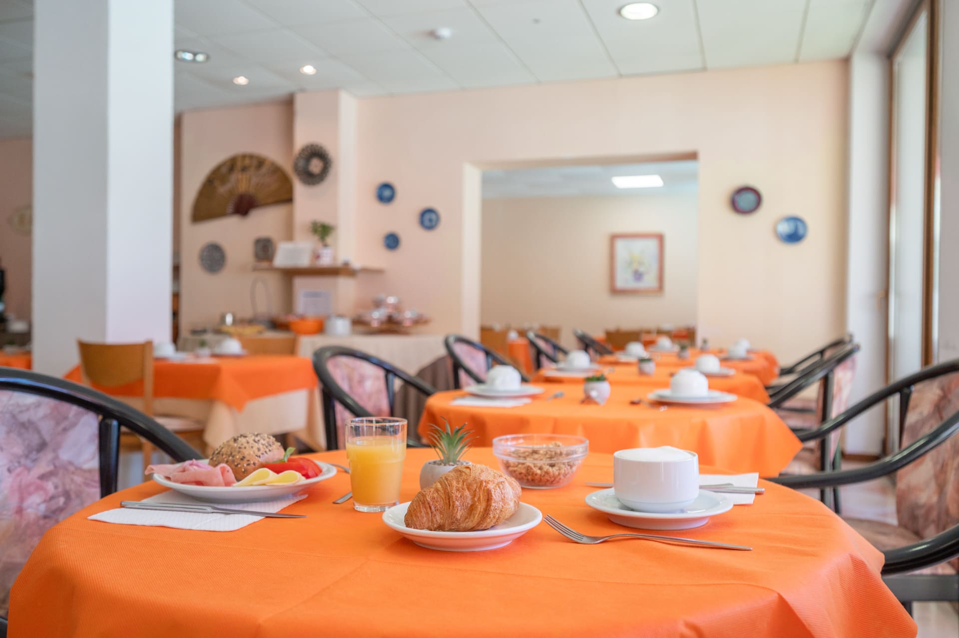 Hotel Alessandra Garda